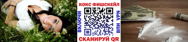 где купить наркоту  Болотное  Cocaine Columbia 