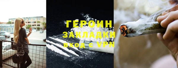 твердый Гусев