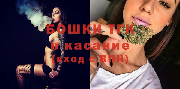тгк Гусь-Хрустальный