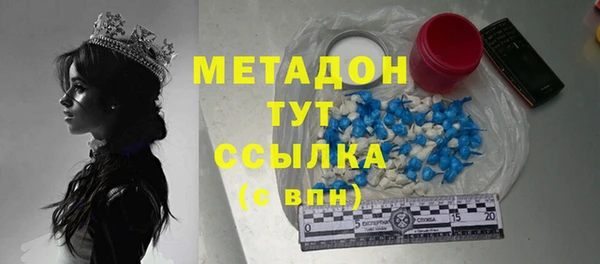 твердый Гусев