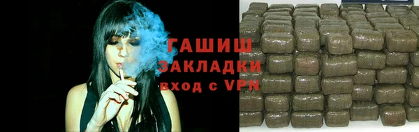 твердый Гусев