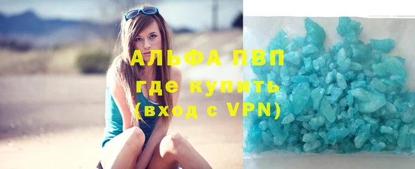 твердый Гусев