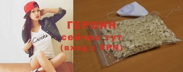 твердый Гусев