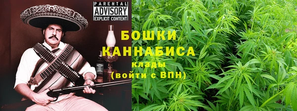 соль ск Гусиноозёрск