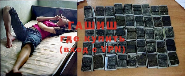 твердый Гусев