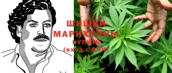 тгк Гусь-Хрустальный