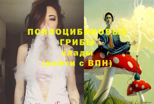 твердый Гусев