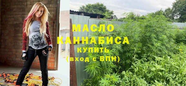 твердый Гусев