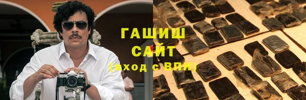 твердый Гусев