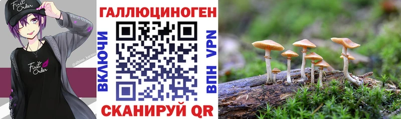Галлюциногенные грибы GOLDEN TEACHER  Болотное 
