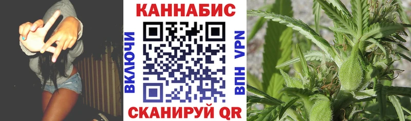 Конопля ГИДРОПОН  магазин продажи наркотиков  Болотное 